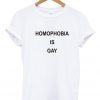 homophobia is gay tshirt