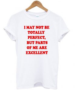 i may not be totally perfect T-shirt