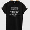 nullum magnum ingenium mixtura demientiae fuit t-shirt