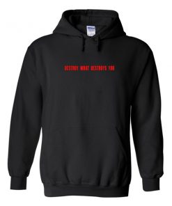 destroy what destroys you hoodie