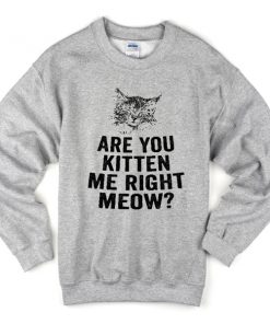 Are You Kitten Me Right Meow Sweatshirt