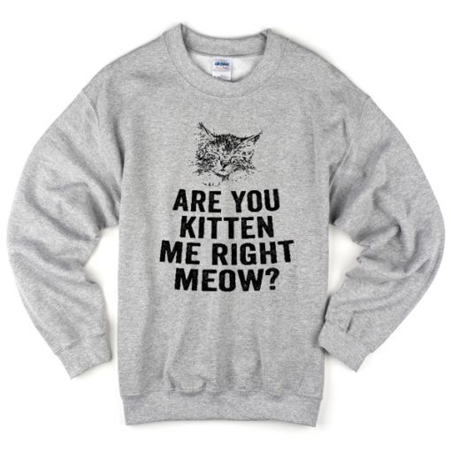 Are You Kitten Me Right Meow Sweatshirt