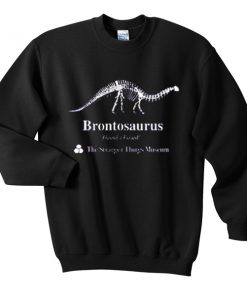 brontosaurus sweatshirt