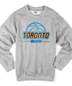 toronto wildfox sweatshirt
