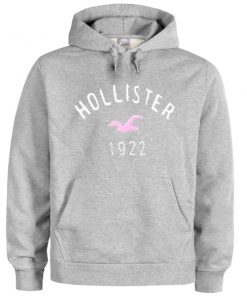 hollister 1922 hoodie