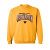 university of washington sweatshirt