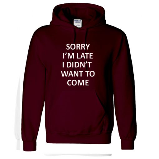 sorry i'm latre i did'nt want to come hoodie