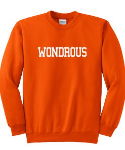 wondrous sweatshirt