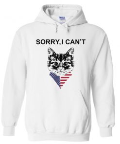 sorry i can't hoodie